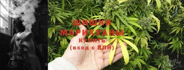 ПСИЛОЦИБИНОВЫЕ ГРИБЫ Аркадак
