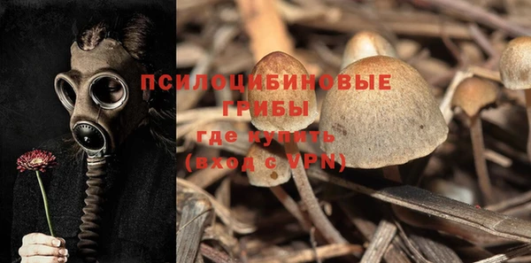 ПСИЛОЦИБИНОВЫЕ ГРИБЫ Аркадак