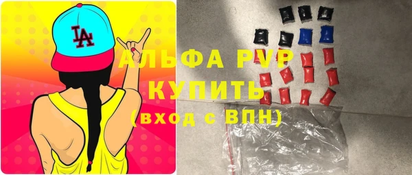 молекула духа Каменногорск