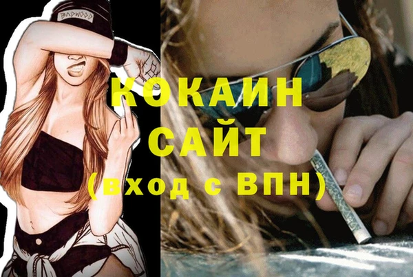 ПСИЛОЦИБИНОВЫЕ ГРИБЫ Аркадак
