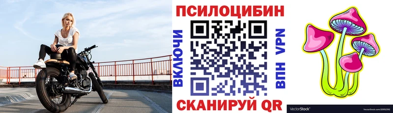 Псилоцибиновые грибы GOLDEN TEACHER  купить   Асино 